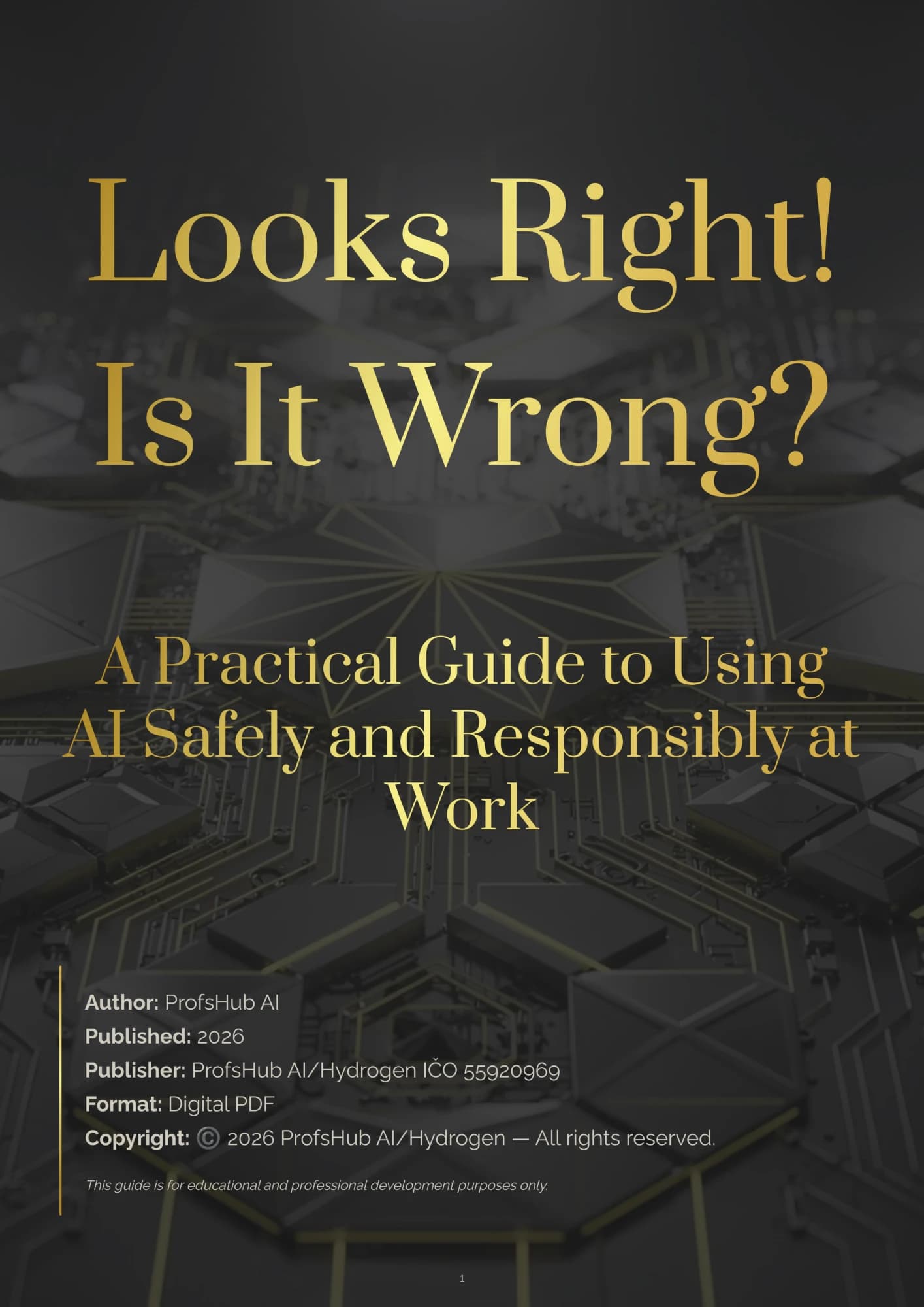 Looks Right! Is It Wrong? — A Practical Guide to Using AI Safely and Responsibly at Work, book cover