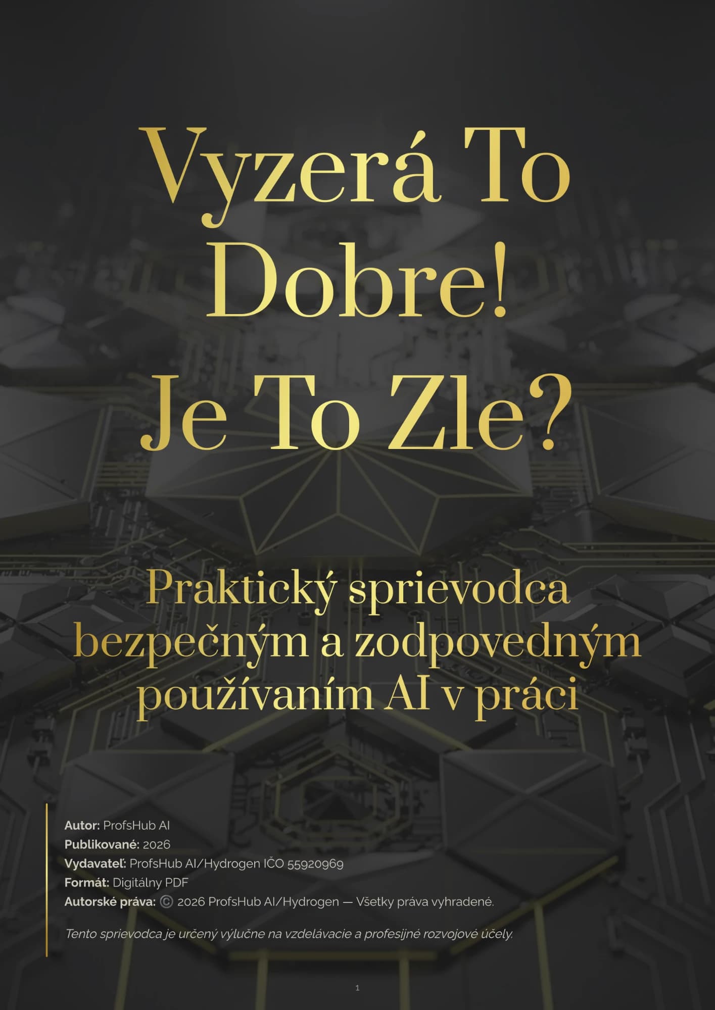 Vyzerá To Dobre! Je To Zle? — Praktický sprievodca bezpečným a zodpovedným používaním AI v práci, obálka knihy